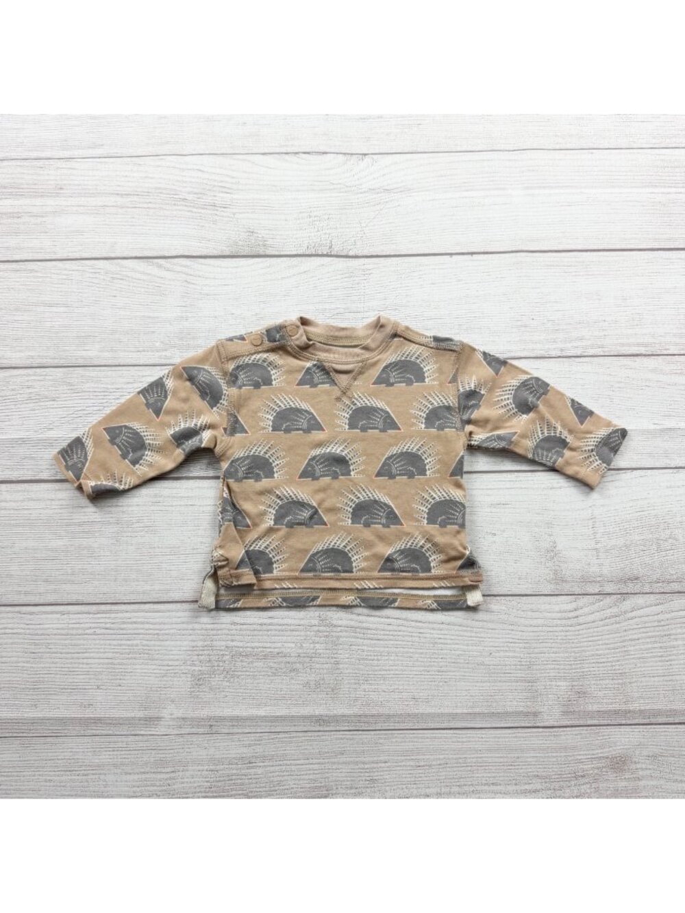 Apple Park Toddler Organic Bamboo-Cotton Top Hedgehog Print Shirt 12-18 Months